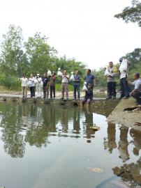 Restoking Ikan 